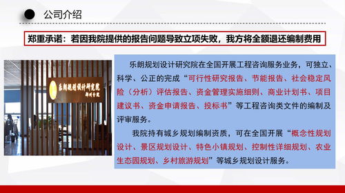 安平县商业计划书与方案策划服务 社会经济咨询助力企业发展
