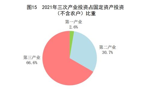 2021年中国社会经济咨询服务行业 赋能高质量发展的破局之年